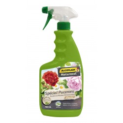 Special Pucerons Pae...