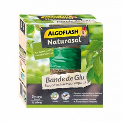 Bande De Glu 5M Étui 5M -...