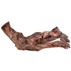 ZOLUX NATURELLE Racine...