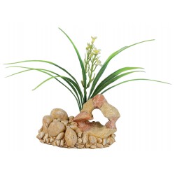 ZOLUX Roche plantée décor...