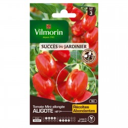 VILMORIN SUCCÈS DU...