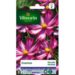 VILMORIN COSMOS Picotée...