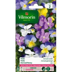 VILMORIN VIOLA Cornuta...