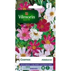 VILMORIN COSMOS Aldebaran...