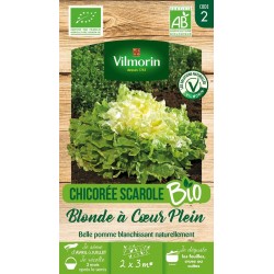 VILMORIN CHICORÉE SCAROLE...
