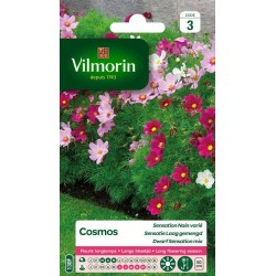 VILMORIN COSMOS Sensation...