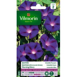 VILMORIN IPOMÉE Volubilis...