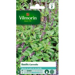 VILMORIN BASILIC Cannelle...