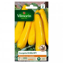 VILMORIN COURGETTE Orélia...