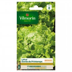 VILMORIN LAITUE BATAVIA...