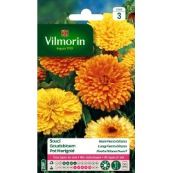 VILMORIN SOUCI Nain Fiesta...