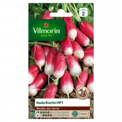 VILMORIN RADIS Kocto Hf1...