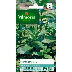 VILMORIN MENTHE Poivrée...
