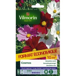 VILMORIN-COSMOS Sensation...