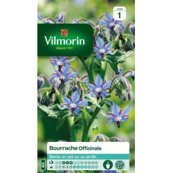 VILMORIN BOURRACHE...