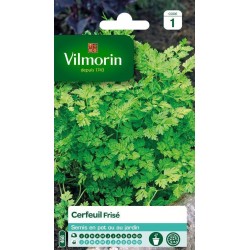 VILMORIN CERFEUIL Frisé...
