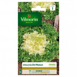 VILMORIN CHICORÉE FRISÉE De...