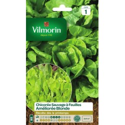 VILMORIN CHICORÉE Sauvage À...
