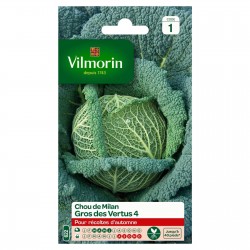VILMORIN CHOU DE MILAN Gros...