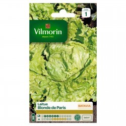 VILMORIN LAITUE BATAVIA...