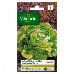 VILMORIN LAITUE POMMÉE...