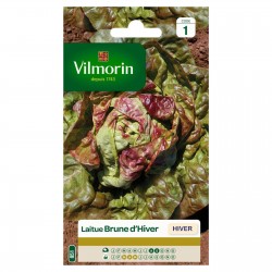 VILMORIN LAITUE Hiver Brune...