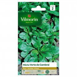 VILMORIN MÂCHE Verte De...