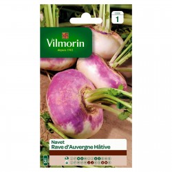 VILMORIN NAVET Rave...