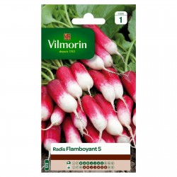 VILMORIN RADIS Flamboyant 5...