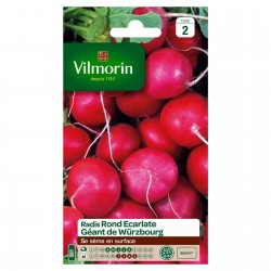 VILMORIN RADIS Rond...
