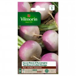 VILMORIN NAVET Rave...