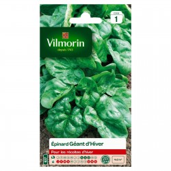 VILMORIN ÉPINARD Géant...