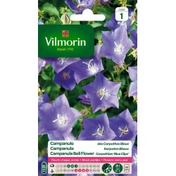 VILMORIN CAMPANULE Des...