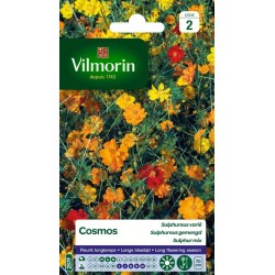 VILMORIN COSMOS Sulphureus...