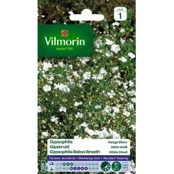 VILMORIN GYPSOPHILE Nuage...