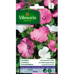 VILMORIN LAVATÈRE À Grande...