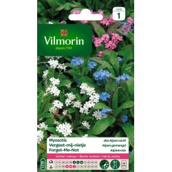 VILMORIN MYOSOTIS Des Alpes...