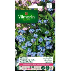 VILMORIN MYOSOTIS Des Alpes...