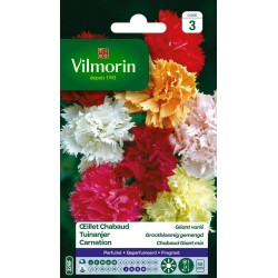 VILMORIN OEILLET CHABAUD...