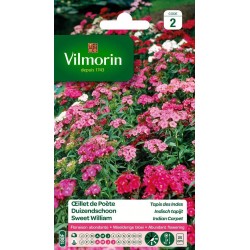 VILMORIN OEILLET DE POÈTE...