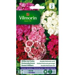 VILMORIN OEILLET DE POÈTE...