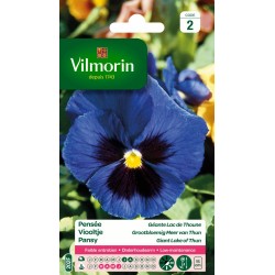 VILMORIN PENSÉE Géante Lac...