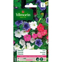 VILMORIN PÉTUNIA Varié...