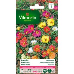 VILMORIN POURPIER Simple...