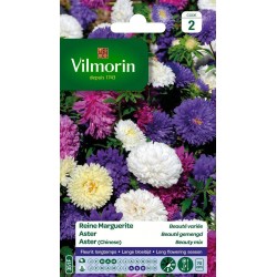 VILMORIN REINE MARGUERITE...