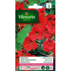 VILMORIN CAPUCINE Valina...