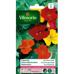 VILMORIN CAPUCINE Tom Pouce...