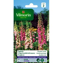 VILMORIN DIGITALE Excelsior...