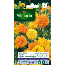 VILMORIN ROSE D'INDE Double...