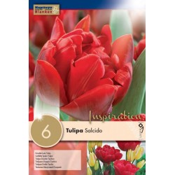 Bulbes de tulipe double...